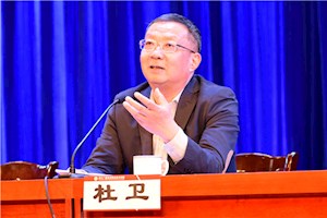 杜卫 教授