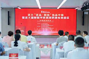 数字贸易经济研究中心落子武义县网易数字贸易港