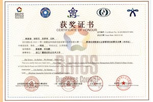 国际赛事所获奖项